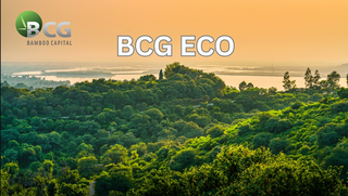 Bamboo Capital bị xử phạt do 'ém' thông tin