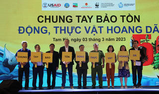 Phát động chương trình 'Tam Kỳ - thành phố không thịt động vật hoang dã'