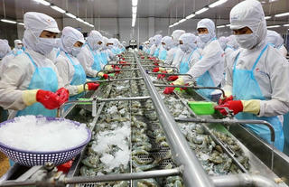Trích lập nợ khó đòi ở mức cao 'kéo' lãi ròng của 'vua tôm' Minh Phú sụt giảm 40%