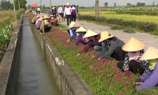 Khơi dậy sức dân về đích nông thôn mới