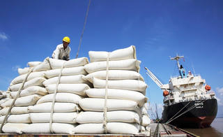 Việt Nam xuất khẩu gần 5 triệu tấn gạo