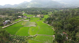 [ẢNH]: Đặc sắc làng cổ Lộc Yên