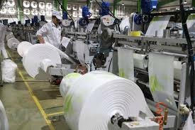 Ngành giấy và mục tiêu kinh tế tuần hoàn