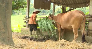 Trao sinh kế giúp người nghèo vươn lên