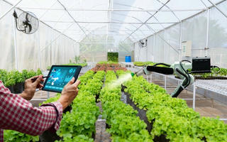 Tạo đột phá phát triển nông nghiệp