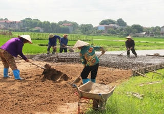 Nhiều chuyển biến từ xây dựng nông thôn mới