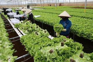 Xuất khẩu nông sản 'thắng' đậm