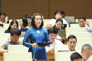 Đề xuất đánh thuế tiêu thụ đặc biệt đối với sản phẩm nhựa sử dụng 1 lần, túi ni lông