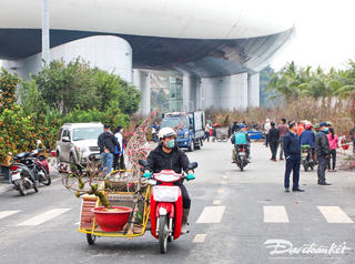 Làm thêm tại chợ hoa ngày Tết, thu nhập tiền triệu mỗi ngày