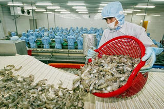 Xuất khẩu nông sản năm 2023: Cơ hội từ những thị trường khó tính