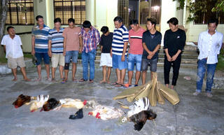 Bắt 11 đối tượng tham gia đá gà ăn tiền tại Bạc Liêu