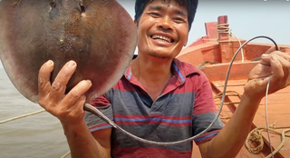 Săn cá đuối ở miền Tây