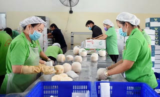 Trường hợp nào bị chấm dứt hưởng trợ cấp thất nghiệp từ 1/1/2026?