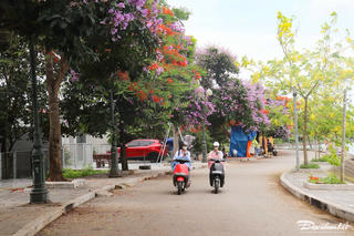 Người dân đổ xô đi check-in tại 'lá phổi xanh' của TP Thanh Hóa