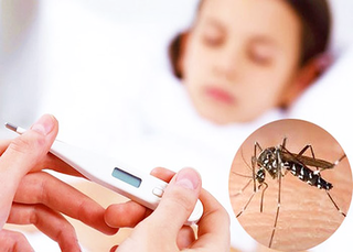 Sốt xuất huyết dengue lần 2 có nguy cơ mắc bệnh nặng hơn?