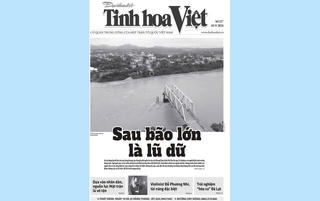 Tìm đọc Tinh hoa Việt số 227, phát hành ngày 10/9/2024