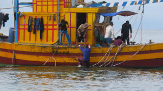 ‘Săn’ lộc biển