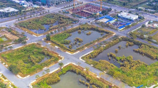 Mạnh tay với nạn 'thổi' giá đất