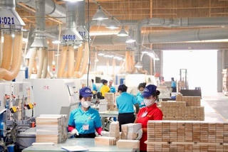 Kế hoạch hành động của Chính phủ về phát triển kinh tế tư nhân