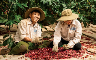 Xuất khẩu nông, lâm, thủy sản tăng trưởng mạnh