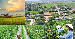 Thanh Hóa: Có nhũng nhiễu trong lĩnh vực đất đai