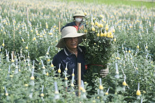 Nâng chất lực lượng lao động nông thôn: Đâu là giải pháp then chốt?