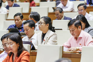Xử lý SCB, Vạn Thịnh Phát, FLC cho thấy các báo cáo kiểm toán thiếu trung thực