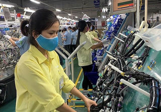 TP HCM đứng thứ 3 cả nước về chỉ số chuyển đổi số