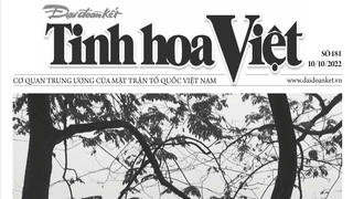 Đón đọc Tinh hoa Việt số 181