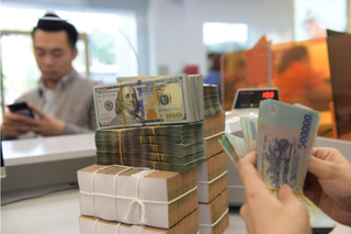 Gói tín dụng 15.000 tỷ đồng cho doanh nghiệp lâm, thủy sản, lãi suất vay thấp hơn 1% - 2%