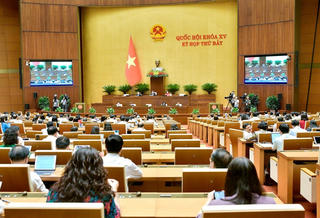 Chiều 26/6, Quốc hội thảo luận ở hội trường về dự án Luật sửa đổi, bổ sung một số điều của Luật Dược