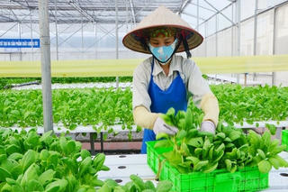 Hà Nội: Kinh tế nông thôn khởi sắc, đời sống người dân được nâng cao