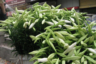 Tháng tư về…