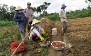 Phú Yên: Gần 1.000 hộ nghèo thiếu đất ở và đất sản xuất