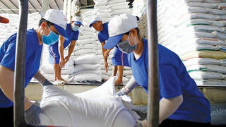 Nông sản đối mặt nhiều rào cản