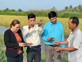 Tôm Việt Nam "rộng đường" xuất khẩu các thị trường khó tính thế giới