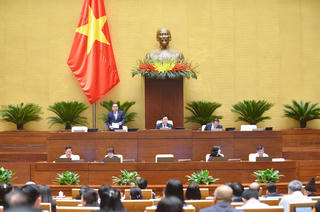 Luật Khám bệnh, chữa bệnh (sửa đổi): Chưa quan tâm bảo vệ người bệnh