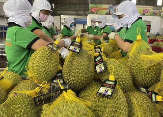 Khơi thông thị trường cho nông sản
