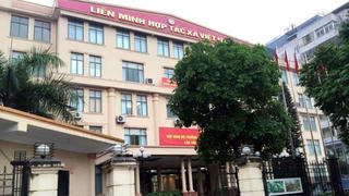 Kỷ luật cảnh cáo Đảng đoàn Liên minh Hợp tác xã Việt Nam