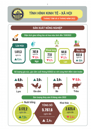 [Infographic] Tình hình kinh tế - xã hội tháng 8 và 8 tháng năm 2022
