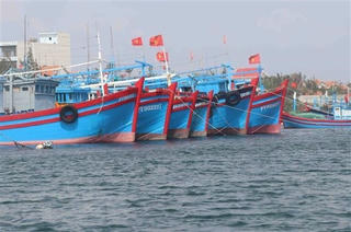 Bình Thuận: Thành lập 5 đoàn kiểm tra chống khai thác IUU