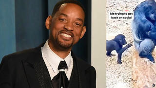 Will Smith trở lại mạng xã hội sau cú tát 'trời giáng' ở Oscar 2022