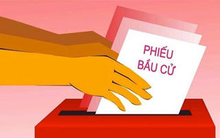 Giám sát trình tự bỏ phiếu, thể thức bỏ phiếu, kiểm phiếu