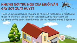[VIDEO] Cách diệt muỗi đơn giản theo khuyến cáo của WHO