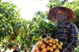 Xuất khẩu nông sản tăng trưởng mạnh
