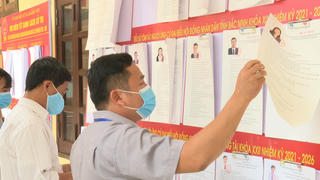 Hơn 69 triệu cử tri cả nước đi bầu cử