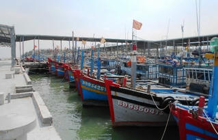 Bất cập cảng cá