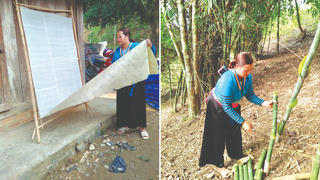 Khiết tinh giấy bản