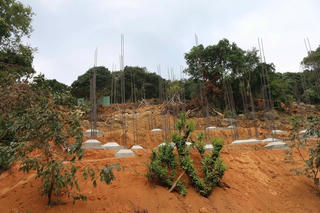Kể chuyện Sơn Trà