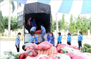 Kon Tum: Hỗ trợ 50 tấn rau, củ, quả cho TP Hồ Chí Minh
